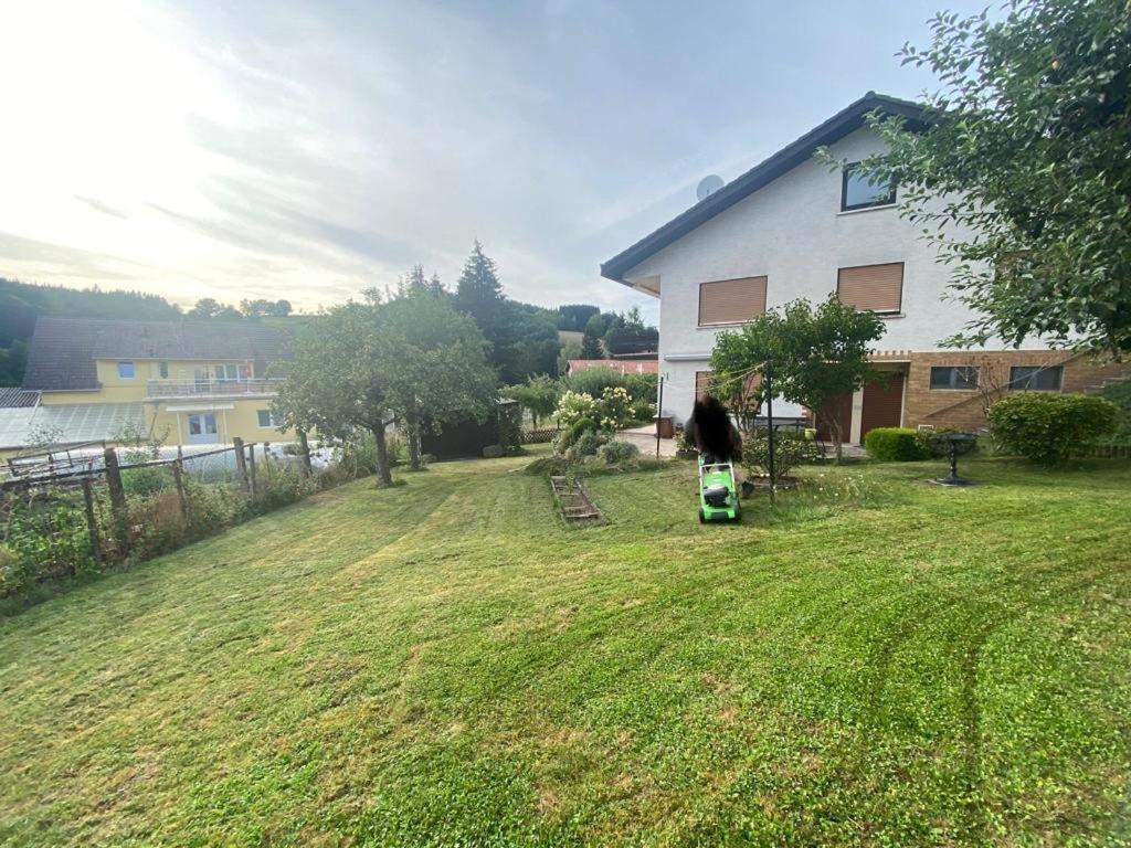 Ferien- Und Monteurwohnung Zum Waldblick 외부 사진